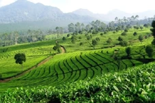 Wisata dalam Pemahaman...