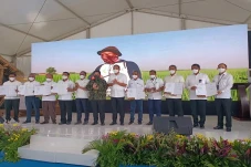Holding Pangan Jadi...