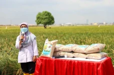 Dukung Ketahanan Pangan,...