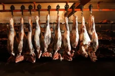 Gawat! Produksi Daging...