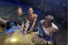 Tambang Emas Liar di...