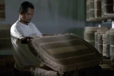 Peti Mati dari Eceng...