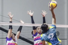 Jadwal PLN Mobile Proliga...