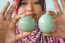 5 Manfaat Telur Bebek...