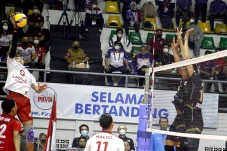 Hasil PLN Mobile Proliga...