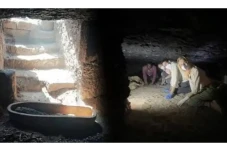 Buru Makam Cleoptara,...