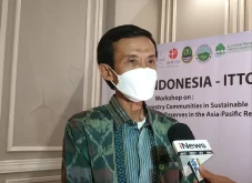 KLHK dan ITTO Gelar...