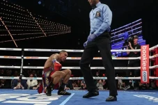 Teofimo Lopez Meregang...