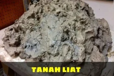 Pandangan Al-Quran dan...