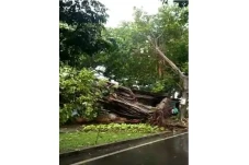 Hujan Disertai Angin...