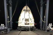 Bawa 2.267 Kilogram...