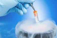 Mengenal Egg Freezing,...