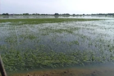Banjir Rendam OKU Timur,...