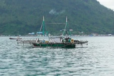 Tangkapan Ikan Dibatasi,...