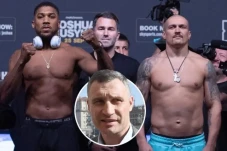 Klitschko Kecam Anthony...