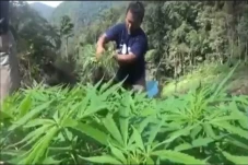 Temuan Puluhan Ribu...