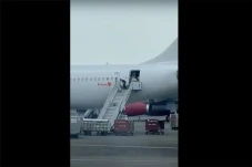Viral! Beredar Video...
