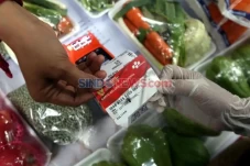 Cair Bulan Ini, Simak...