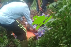 Karyawan Sinar Mas di...