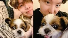 10 Idol K-Pop yang Adopsi...