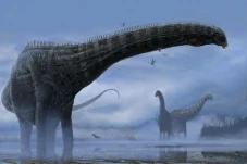 Temuan Baru, Dolly Dinosaurus...