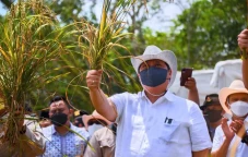 Perkuat Ketahanan Pangan,...