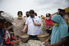 Produksi Ikan Teri Asin...