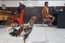 Isi Waktu Luang dengan...