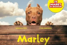 Film Marley Akan Sisihkan...