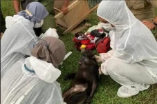 Polisi Mulai Sidik Kasus...