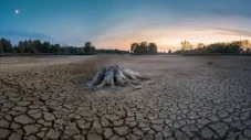Nature Climate Change...