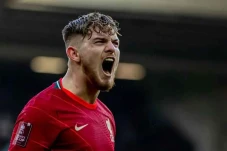Harvey Elliott, Pemain...