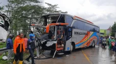 Bus Rosalia Indah Tabrakan...