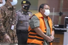 Kasus Pemilikan Satwa...