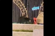 Tamu Tak Diundang! Keluarga...