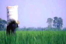 Stok Aman, Petani Sulsel...