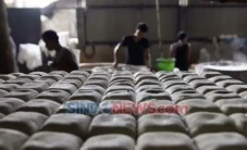 Harga Kedelai Kian Mahal,...