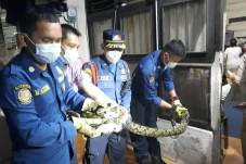 Bikin Panik Warga Jagakarsa,...