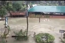 Taman Hewan Pematangsiantar...
