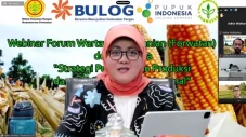 Tak Hanya Padi, Kini...