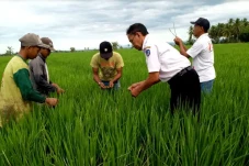 Dongkrak Hasil Pertanian,...