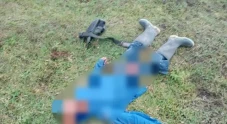 Gembalakan Sapi saat...