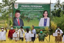 Ketua DPD Minta Pemerintah...