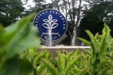 IPB University Gelar...