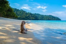 Ini Lokasi Kaum Nabi...