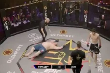Gila, Raksasa MMA 171...