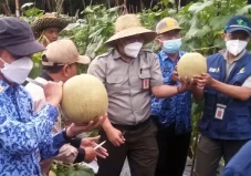Kementan Dukung Usaha...