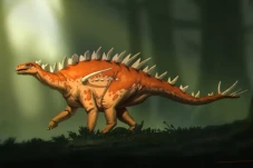 Stegosaurus Berkepala...