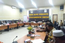 Dewan Turun Lapangan,...