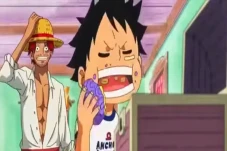 Buah yang Dimakan Luffy...